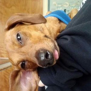 Meet your Posher, Nadia